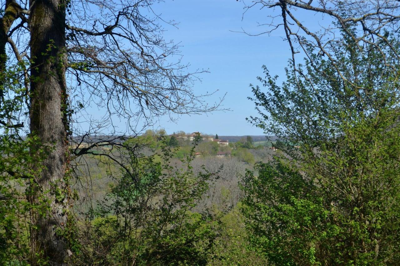 Chambre D'Hote Au Domaine Terre De Chenes Saint-Paul-de-Baise Buitenkant foto