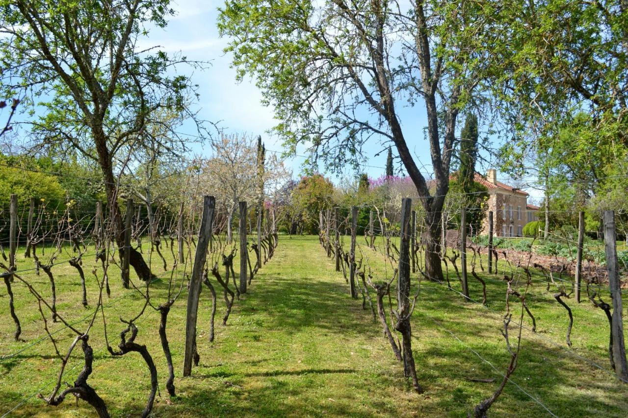 Chambre D'Hote Au Domaine Terre De Chenes Saint-Paul-de-Baise Buitenkant foto