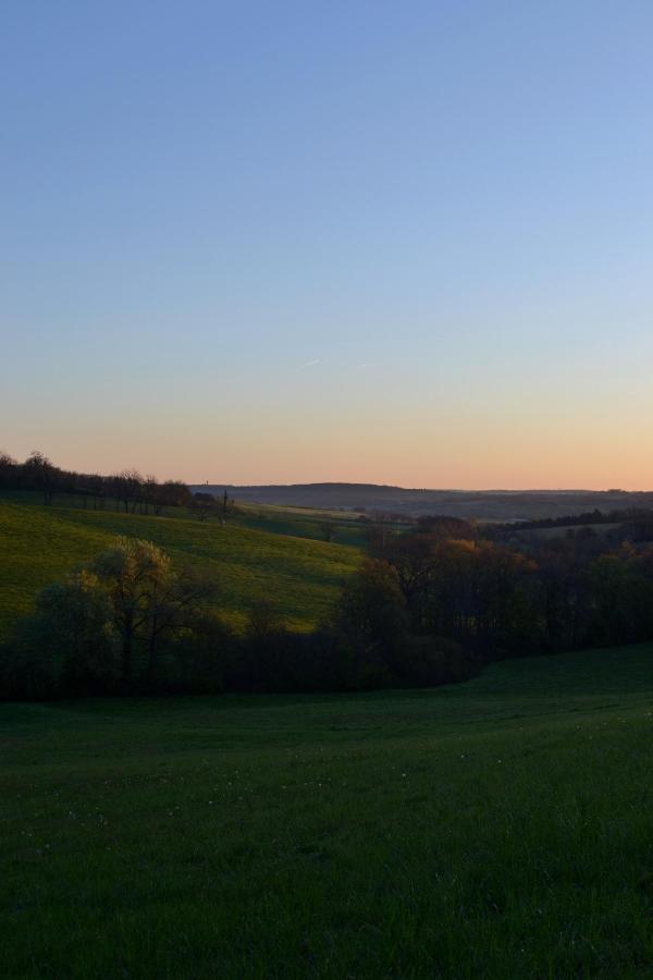 Chambre D'Hote Au Domaine Terre De Chenes Saint-Paul-de-Baise Buitenkant foto