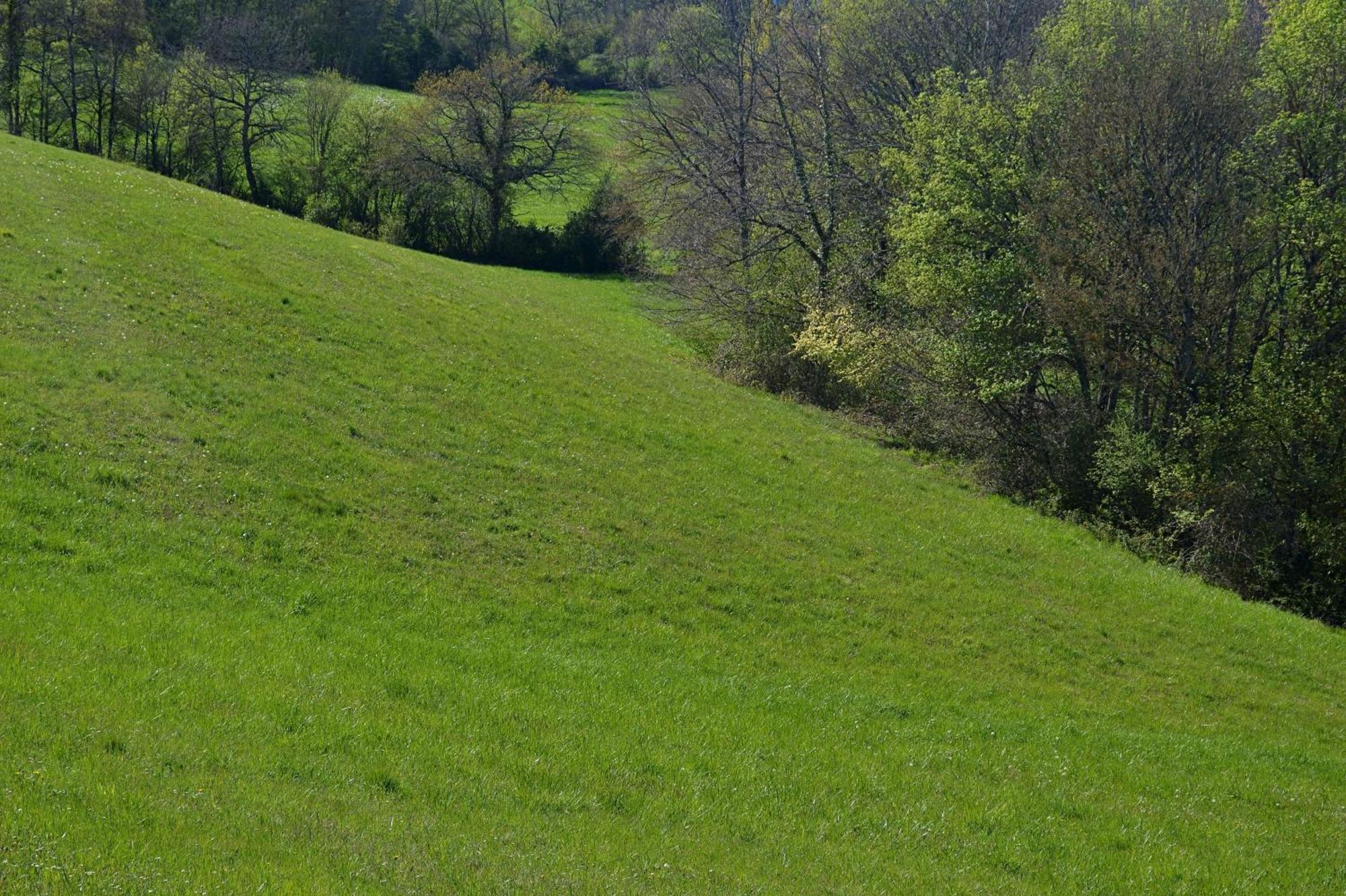 Chambre D'Hote Au Domaine Terre De Chenes Saint-Paul-de-Baise Buitenkant foto