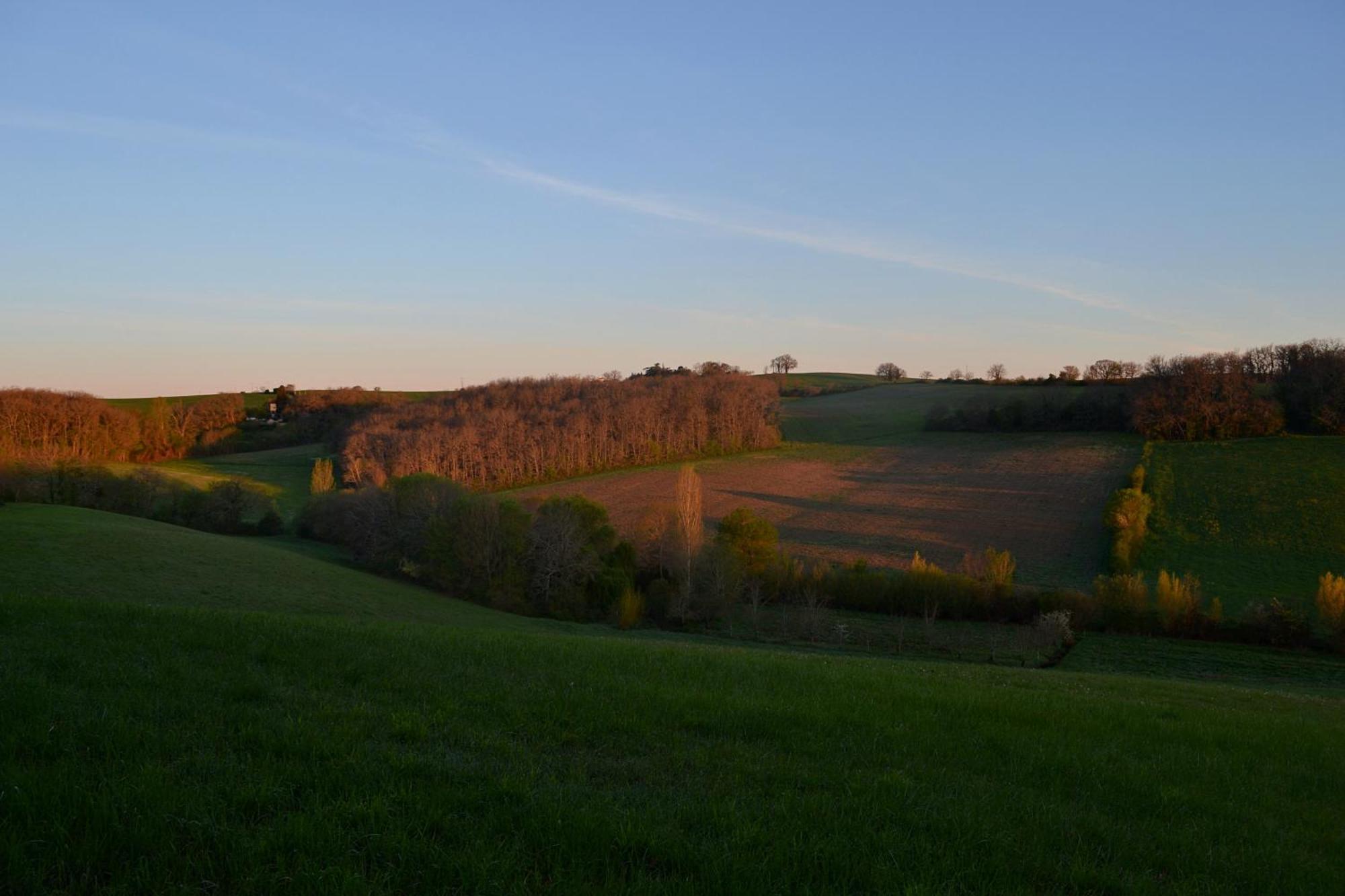 Chambre D'Hote Au Domaine Terre De Chenes Saint-Paul-de-Baise Buitenkant foto